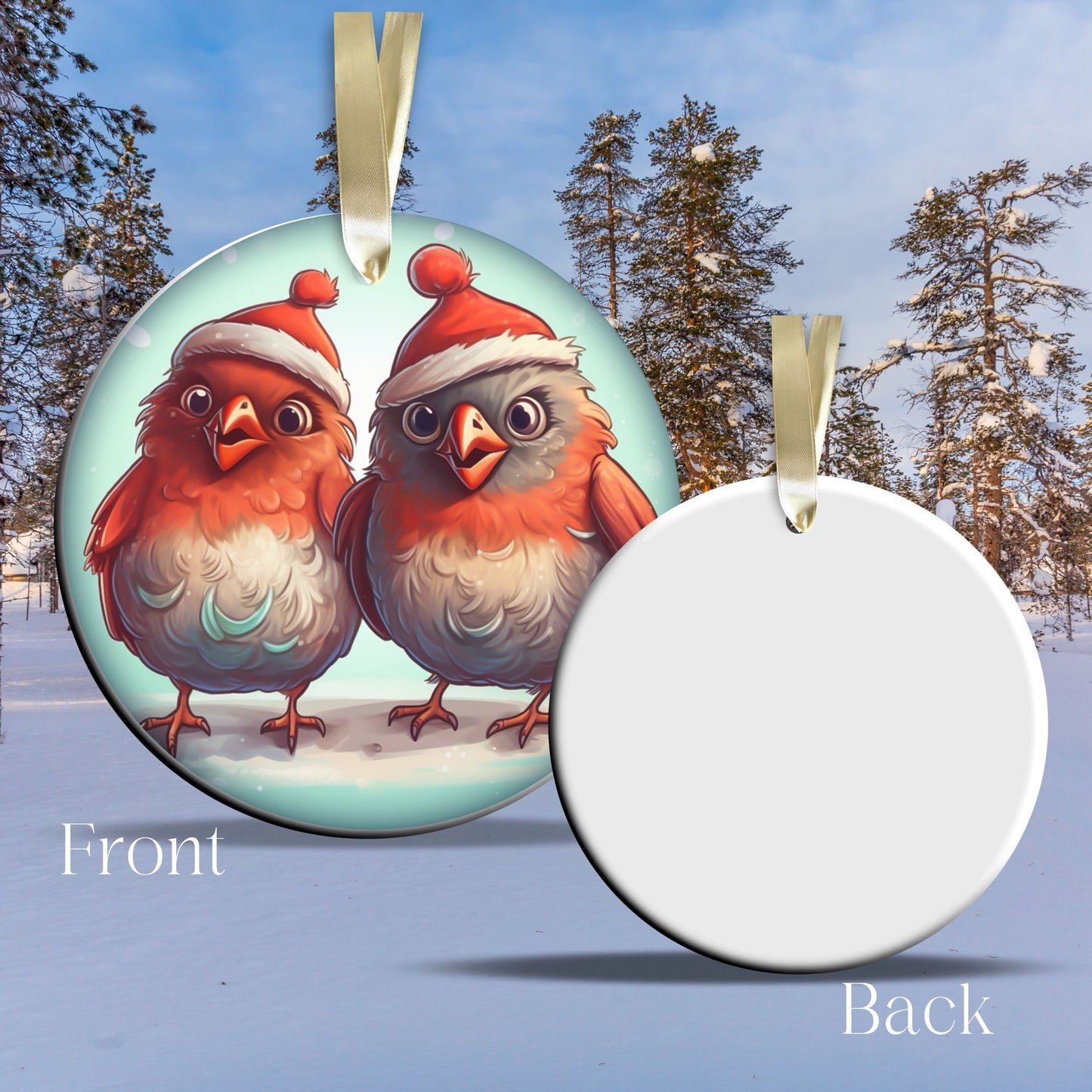 Funny Bird Christmas Ceramic Ornament 45-25