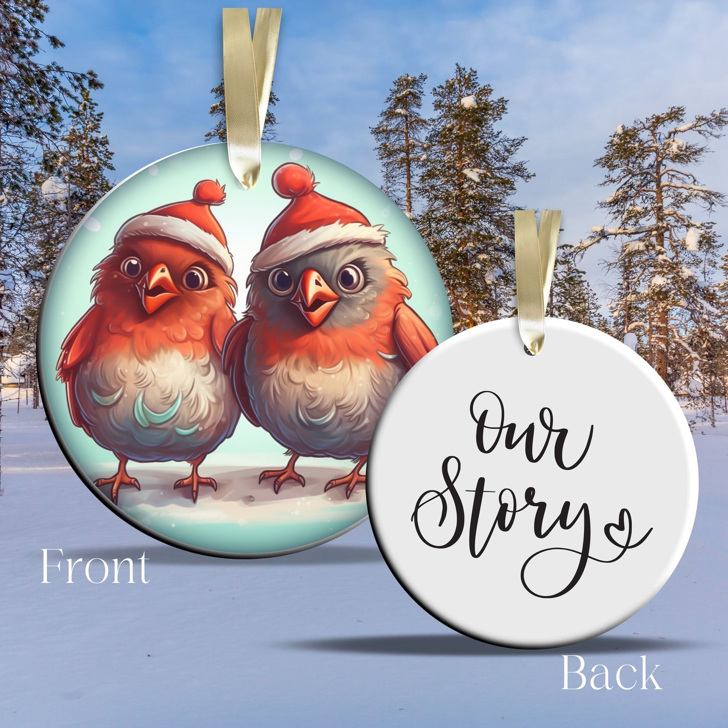 Funny Bird Christmas Ceramic Ornament 45-25