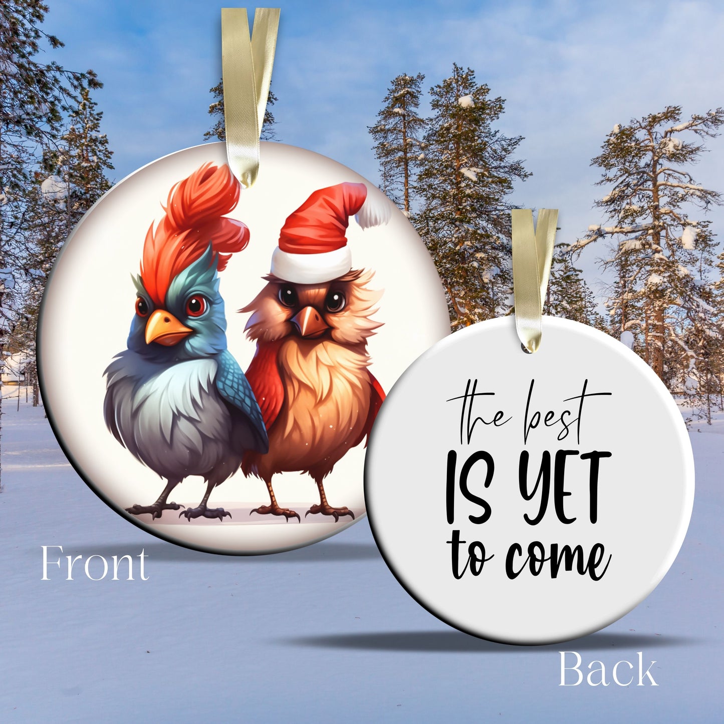 The Best is Yet to Come Funny Bird Christmas Ceramic Ornament 45-58